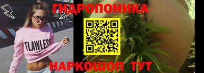 дмт Шебекино