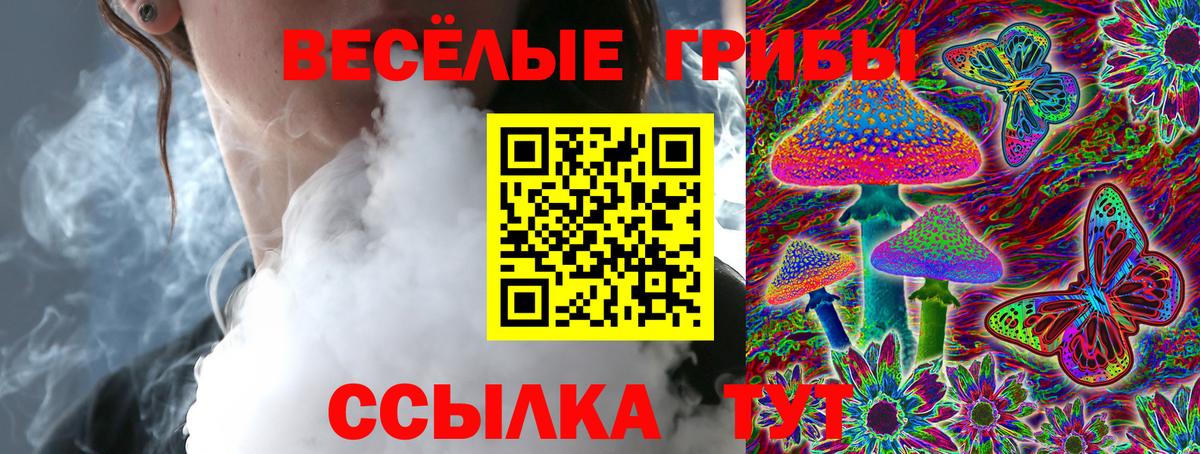 Волгодонск  Галлюциногенные грибы Magic Shrooms  Вход с VPN 