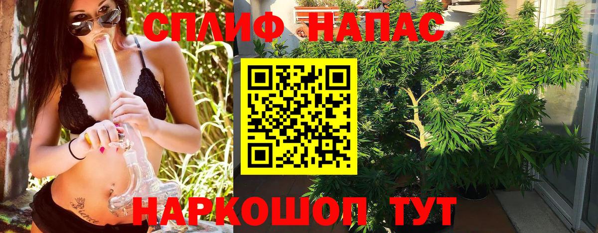 Волгодонск  Канабис White Widow  Вход с VPN  Конопля Bruce Banner  Бошки марихуана индика  Бошки марихуана ГИДРОПОН 